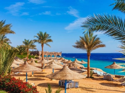 Alger ⇄ Sharm El Sheikh